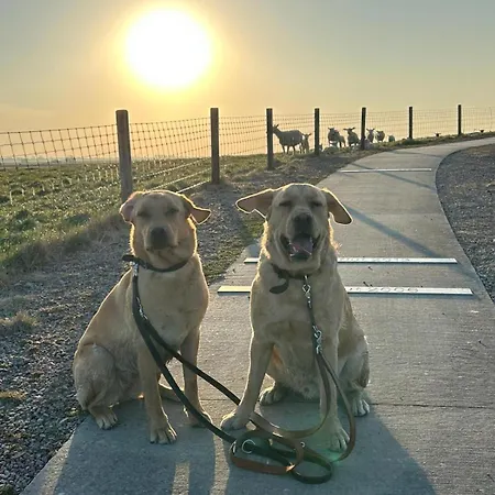 펜션 Blume 카롤리넨시엘