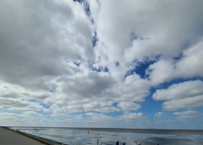 Blume Nyaraló Carolinensiel