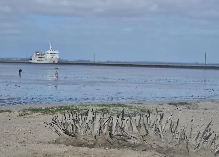 Blume Nyaraló Carolinensiel