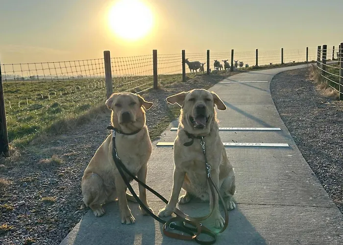 Nyaraló Blume Carolinensiel