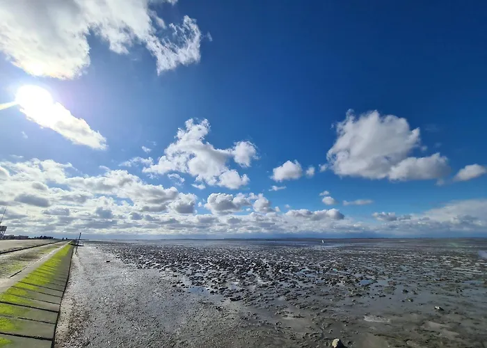 Blume Nyaraló Carolinensiel